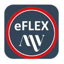 MV eFLEX